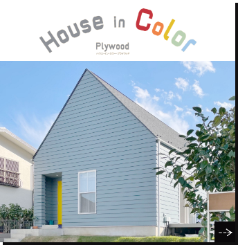 House in Color Plywood