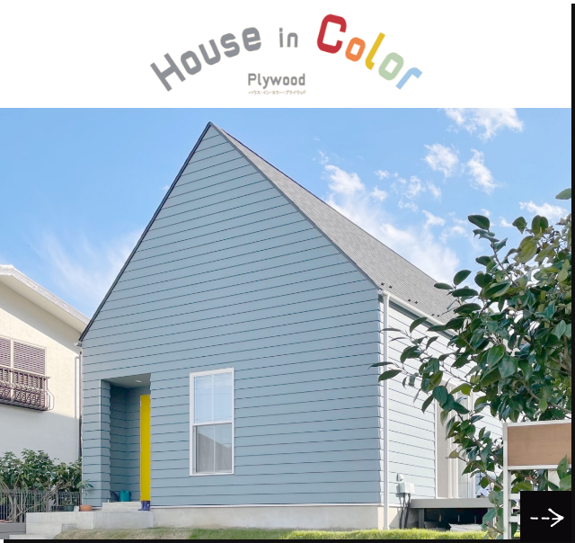 House in Color Plywood